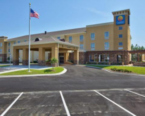 Comfort Inn & Suites Dothan East